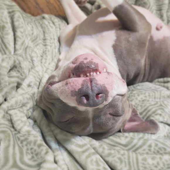 Meet your Posher, Athina - Picture 5 of 8